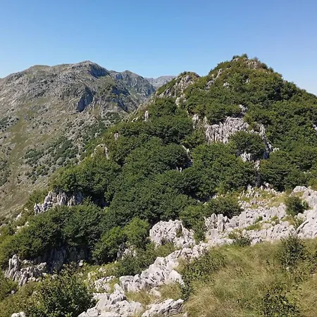 Familiar Bajo Con Jardin En * Gibaja