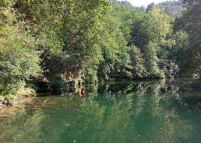 Apartment Familiar Bajo Con Jardin En *