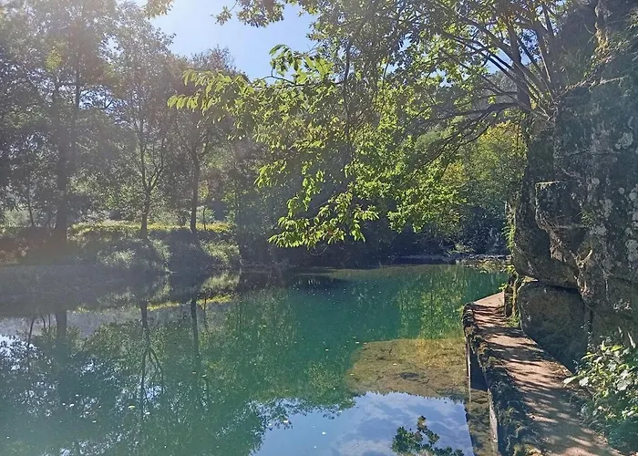 Apartment Familiar Bajo Con Jardin En