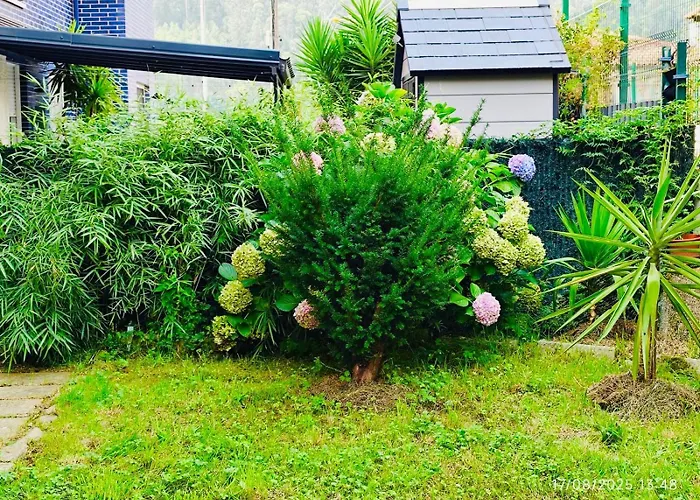 Apartment Familiar Bajo Con Jardin En Gibaja